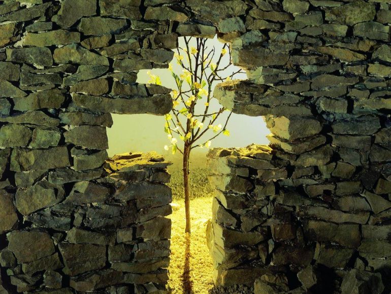 image:Image 