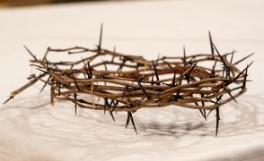 Svatý týden: Kde se můžete setkat s českými a moravskými biskupy v roce 2024 image:Image Svatý týden: Kde se můžete setkat s českými a moravskými biskupy v roce 2024