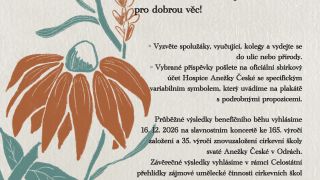 image:Image Běh pro Hospic Anežky České