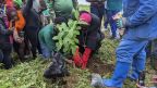 image:Image Náhled