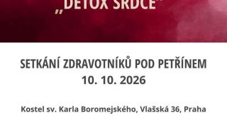 image:Image Detox srdce